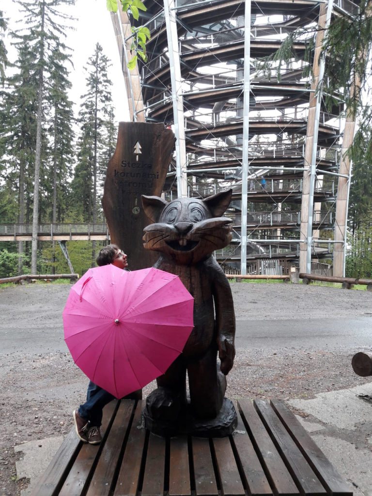 5X5 stezka v korunách stromů Jánské Lázně